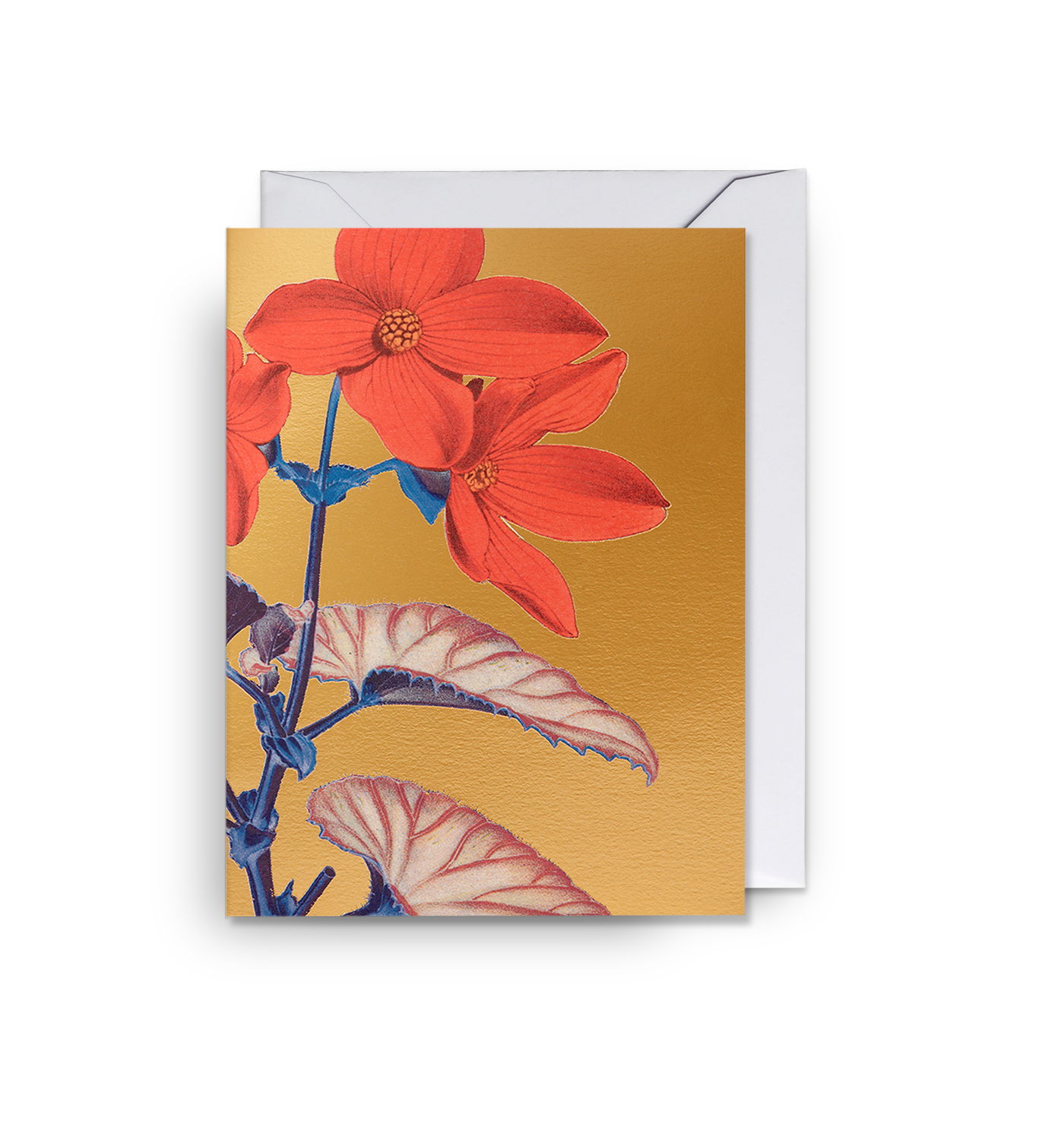 Begonia Mini Card