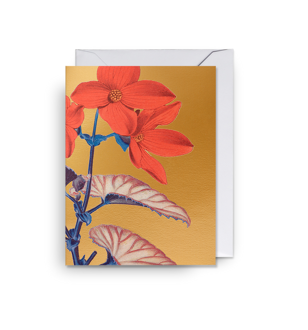 Begonia Mini Card
