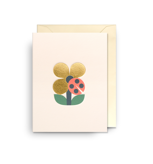 Ladybird Mini Card