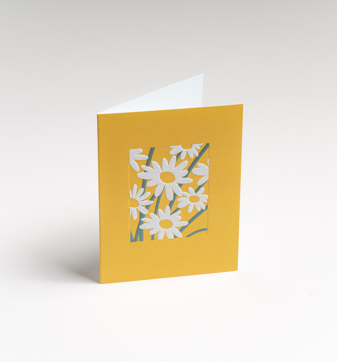 Daisies Mini Card