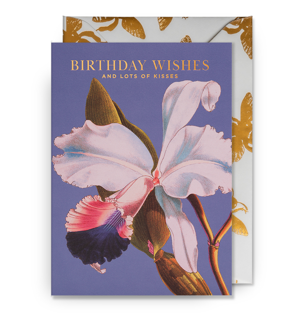Birthday Wishes