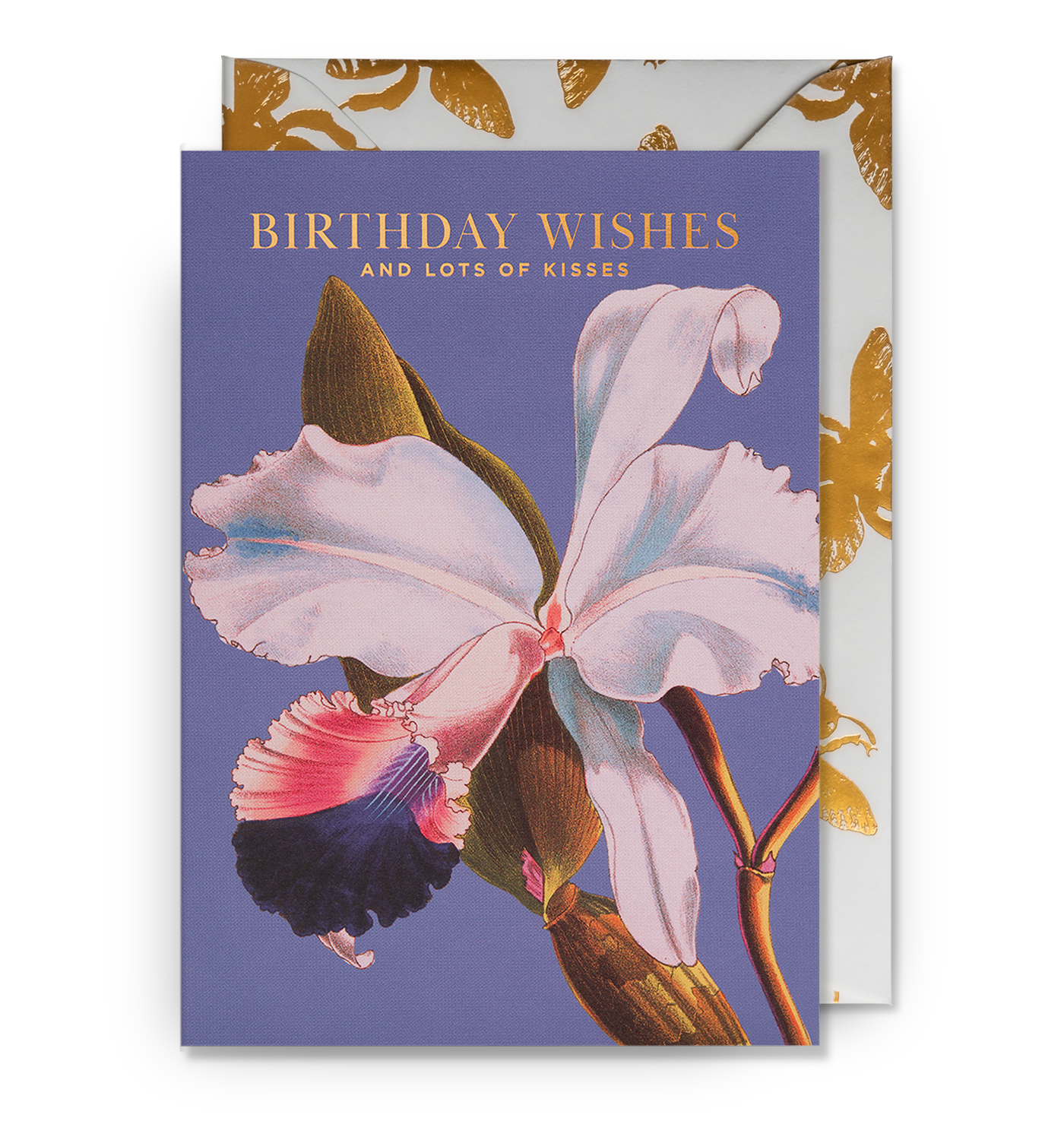 Birthday Wishes