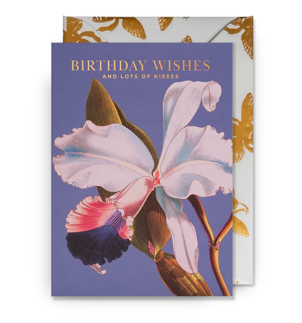 Birthday Wishes
