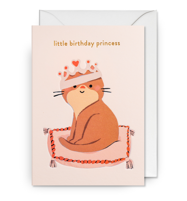 Little Birthday Princess