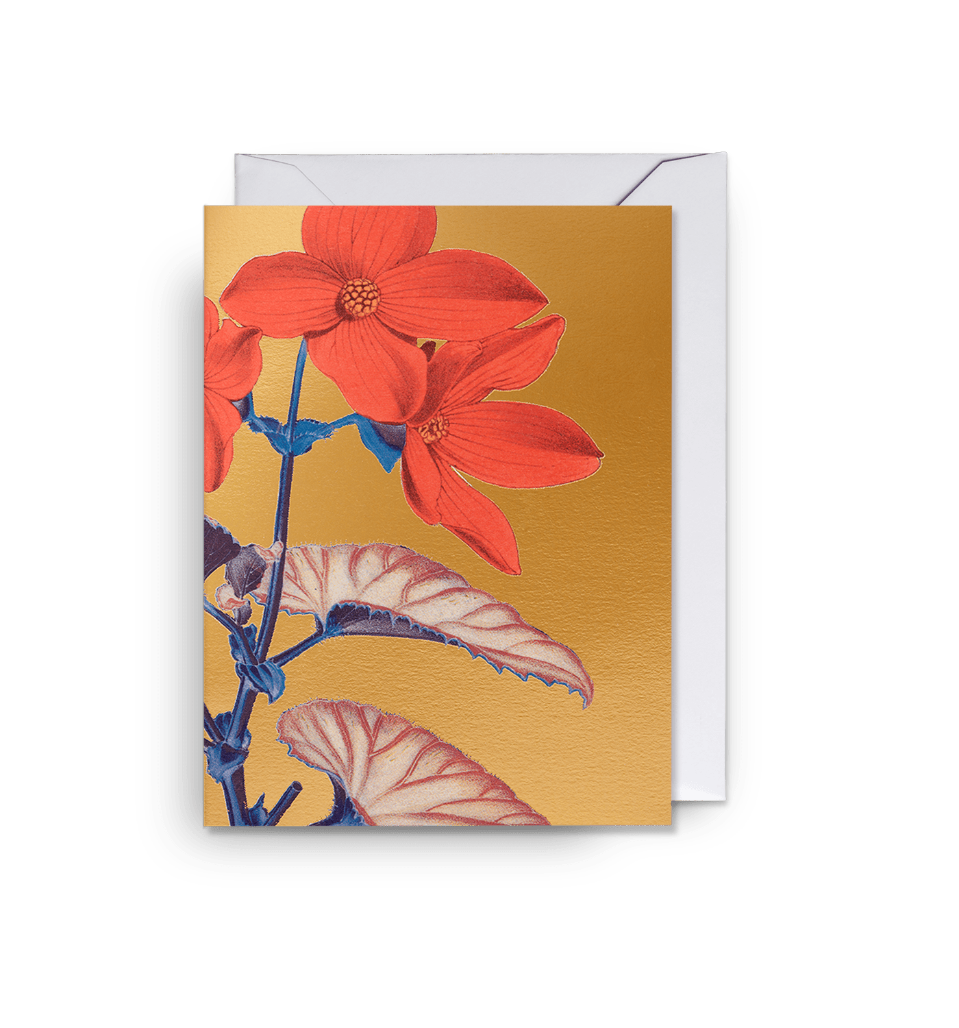 Begonia Golden - UniqueEntity Art