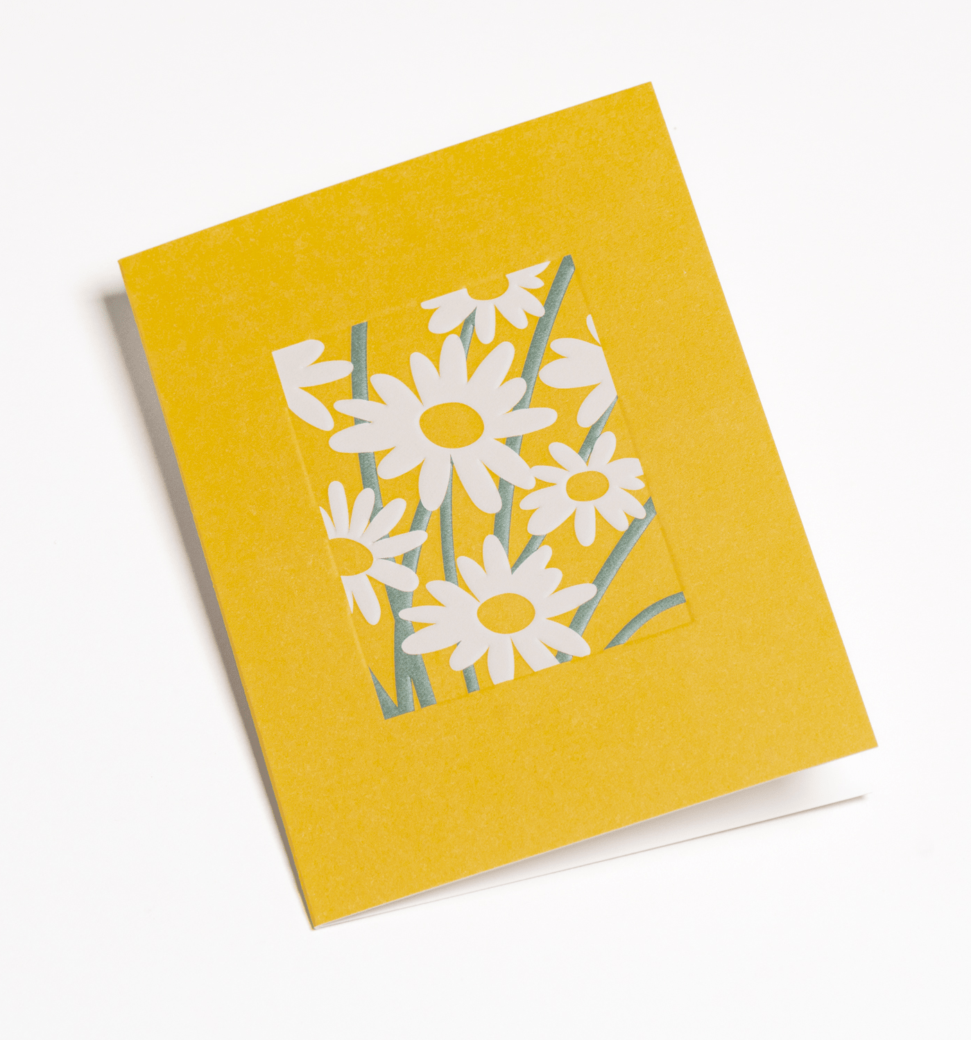 Daisies Minimalist Graphic - UniqueEntity Art