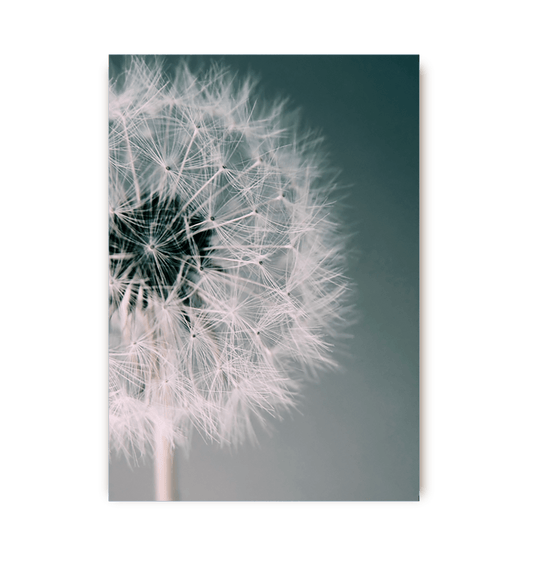 Dandelion Dream - UniqueEntity Art