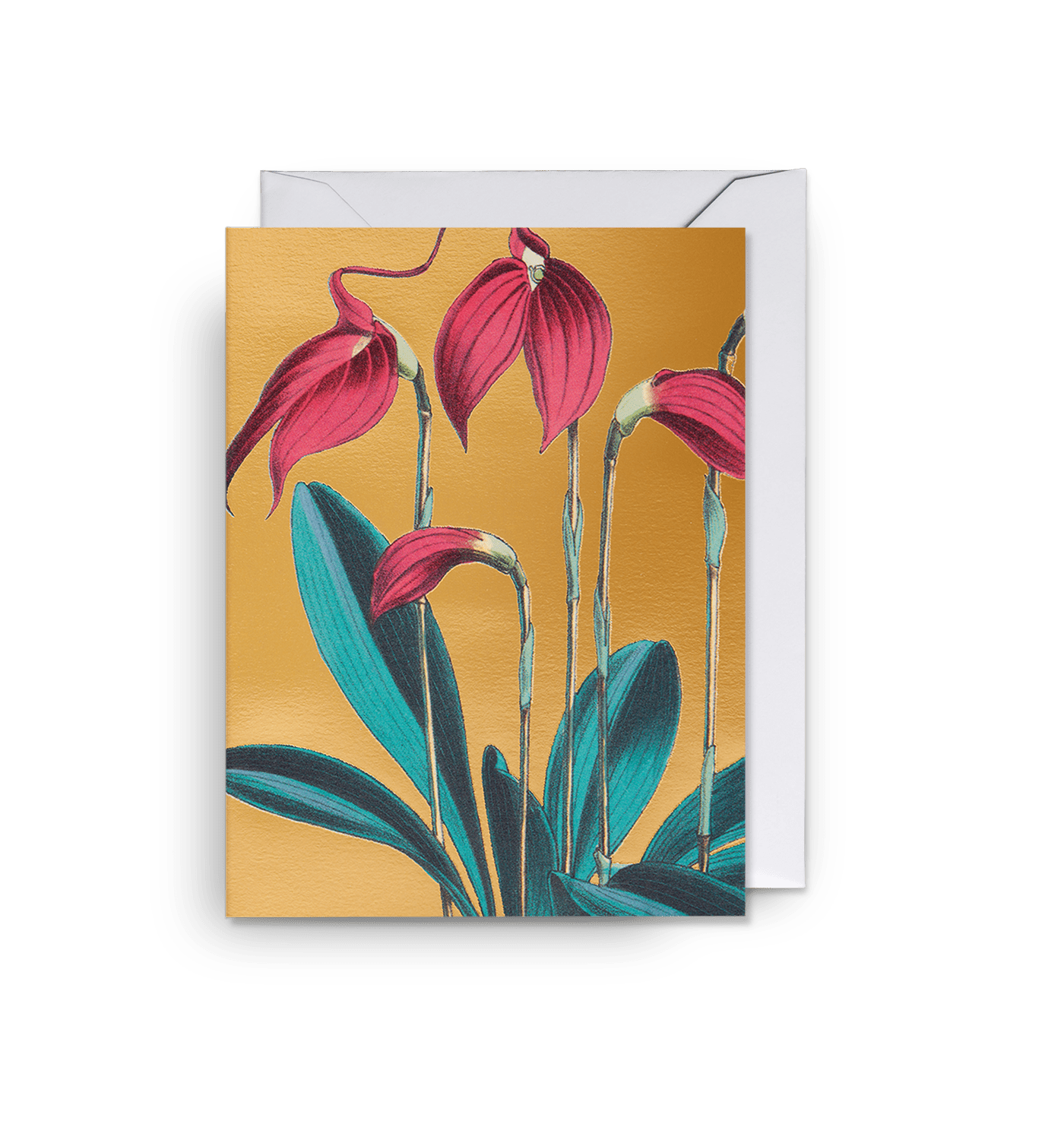 Masdevallia Lindeni Golden - UniqueEntity Art