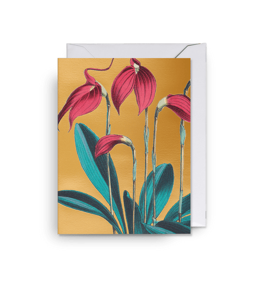 Masdevallia Lindeni Golden - UniqueEntity Art