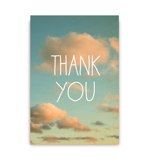 Thank You Blue Skies